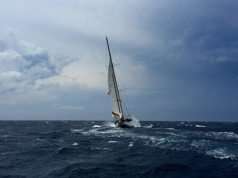 Buried Gold and Missed Boats: Why Your Emotions Are Terrible Investment Advisors