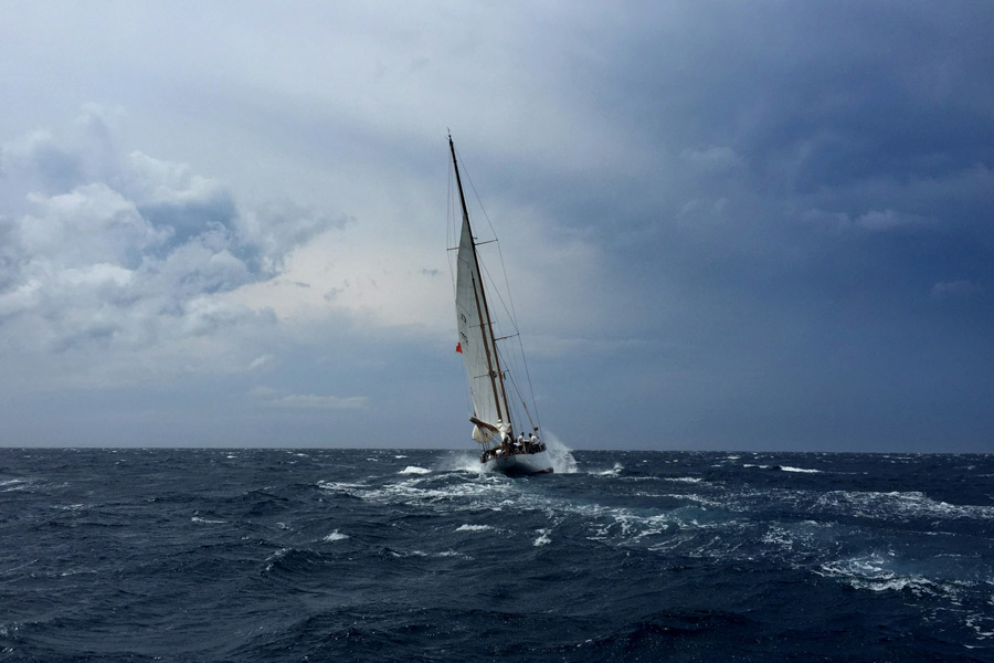 Buried Gold and Missed Boats: Why Your Emotions Are Terrible Investment Advisors