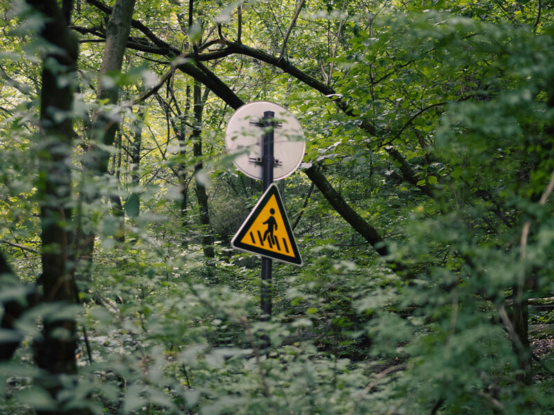yellow caution sign in woods