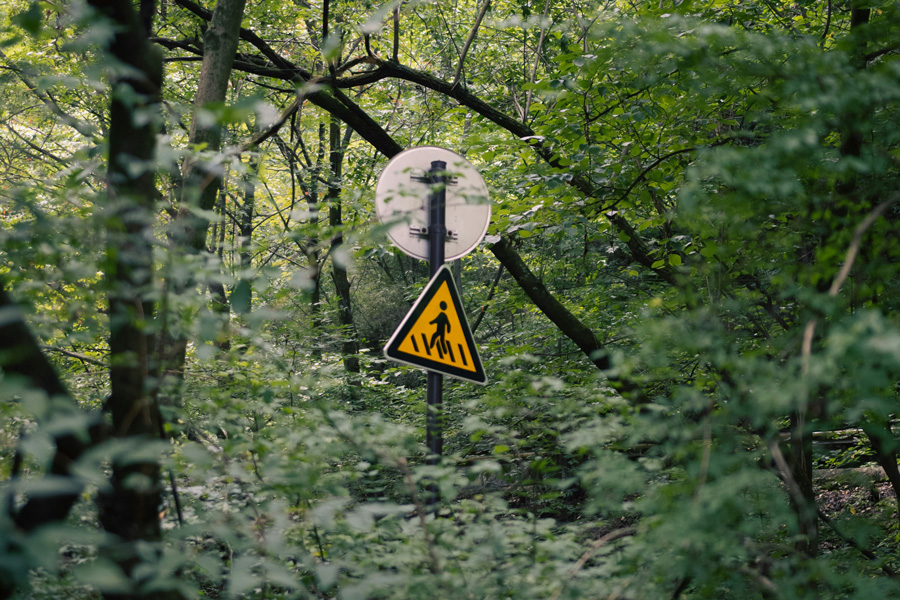 yellow caution sign in woods